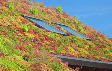 Hunstrete living roof systems